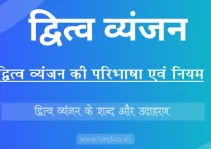 द्वित्व व्यंजन व द्वित्व व्यंजन के शब्द | dwitiya Vyanjan